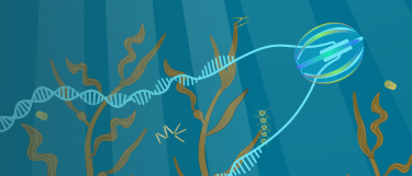 Banner Symposium 2024